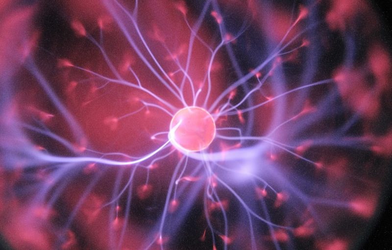 Physics Bowl and the Spirit of Scientific Inquiry: Cultivating Curiosity and Critical Thinking